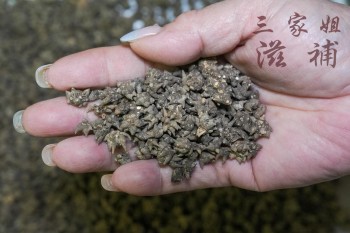 野生貓爪草 