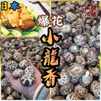 日本爆花龍香一口冬菇