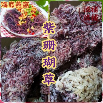 紫珊瑚草