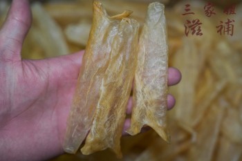 150頭黃花膠筒