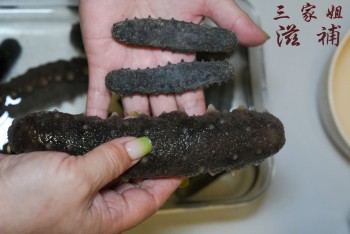 日本關西遼參 (28頭)