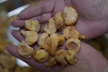 美國無花果