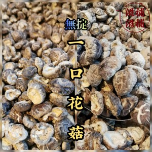 圖片 1