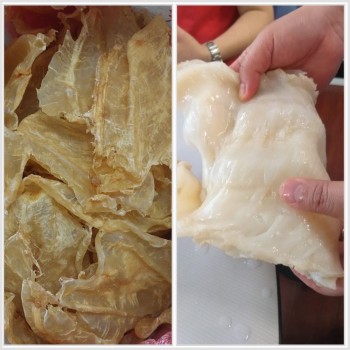 超厚身非洲麻肚膠7-8頭 （當地魚民貨）